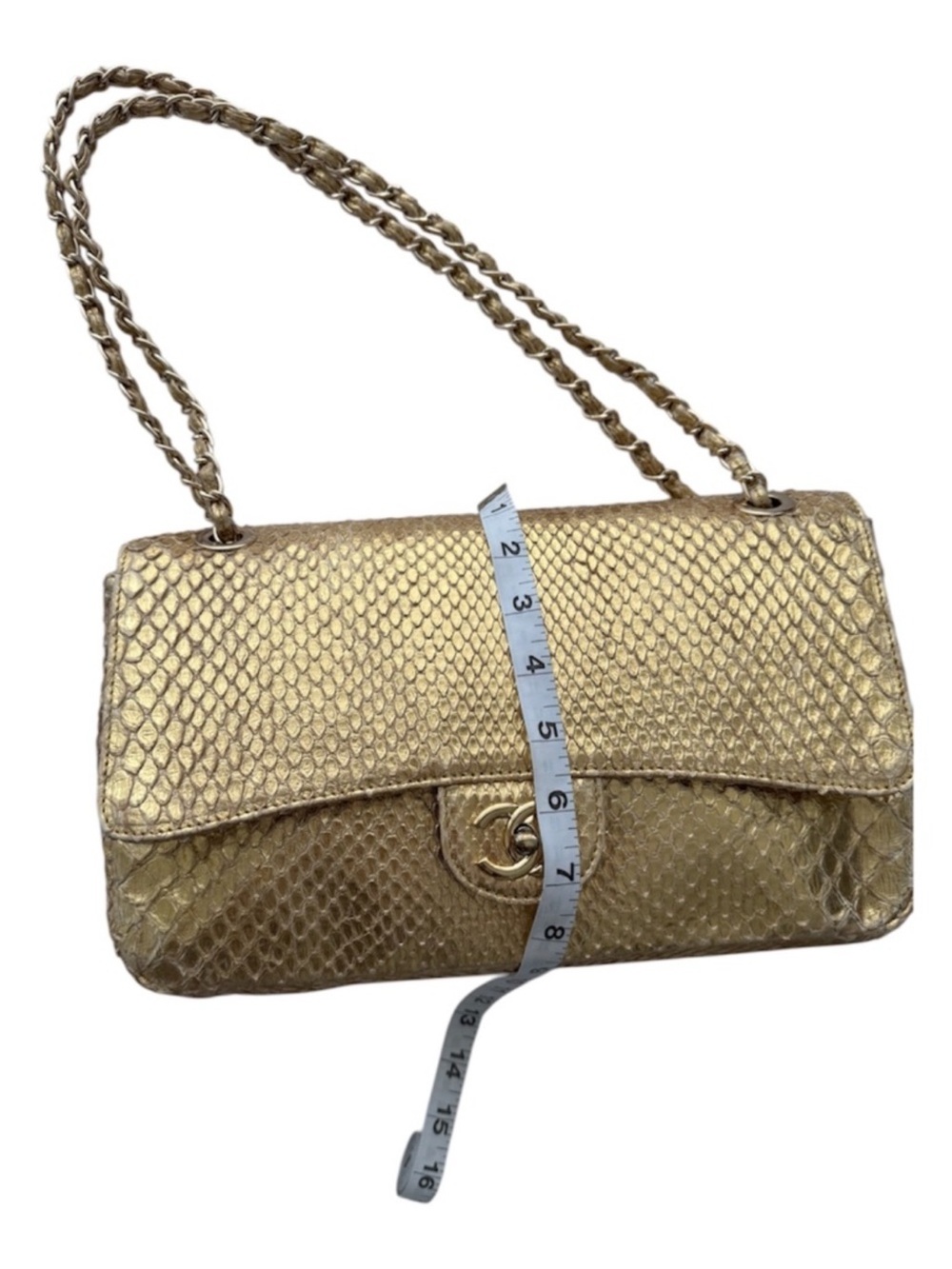 Goldie lux Python-Embossed Shoulder Bag with Chain Strap genuine leather